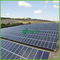 34MW Polikristal Izgara Bağlı Güneş Büyük Ölçekli Fotovoltaik Santraller