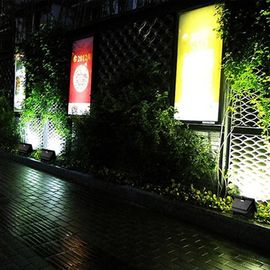 Enerji Verimli Güneş LED Sinyal Işıkları Açık CE Rohs Peyzaj Aydınlatması İçin