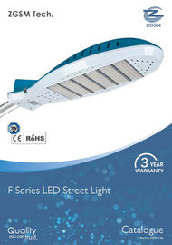 110 lm/w IP65 High Power LED yol ışık plastik Lens ile 100 Watt