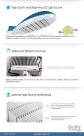 110 lm/w IP65 High Power LED yol ışık plastik Lens ile 100 Watt